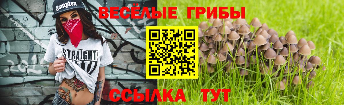дарнет шоп  Псилоцибиновые грибы Cubensis  Вход с VPN  Балашов 
